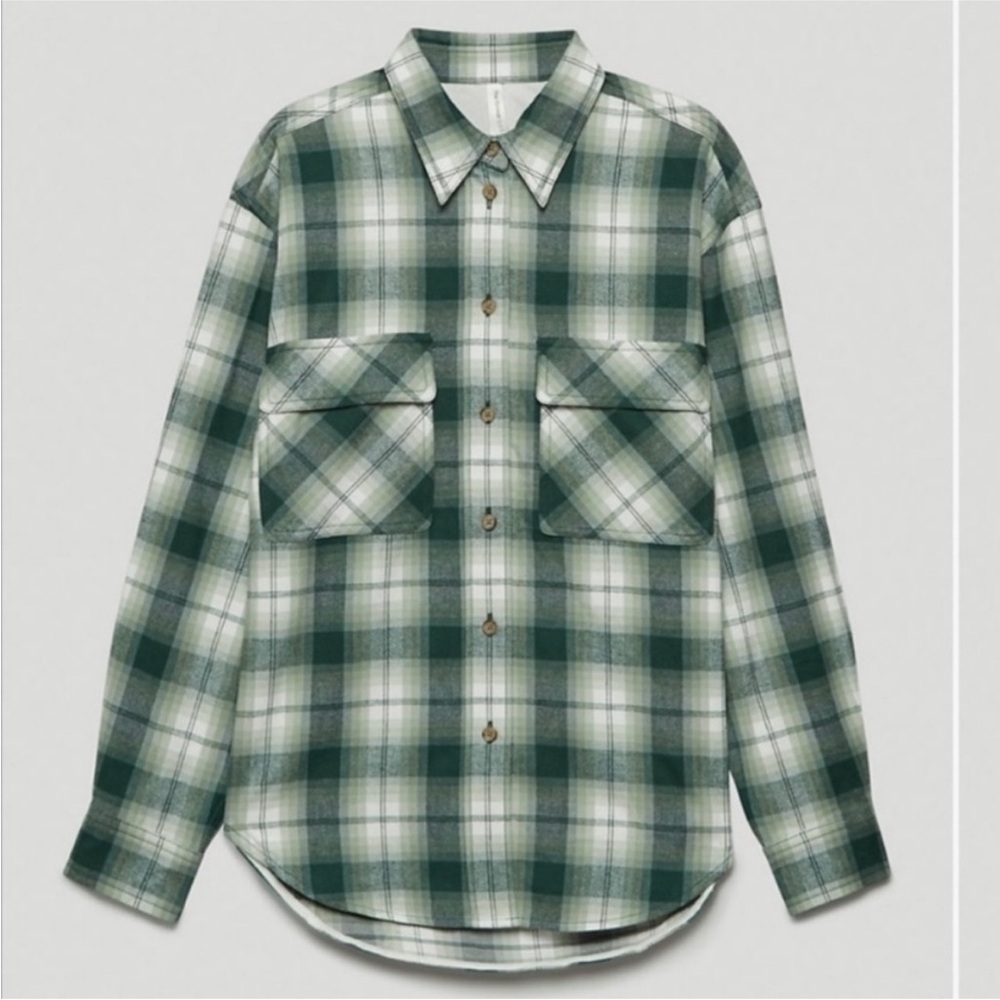 Aritzia striped green button down